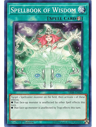 Spellbook of Wisdom - SR08-EN029 - Common 