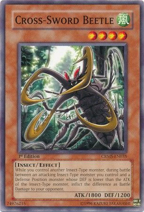 Cross-Sword Beetle - CRMS-EN035 - Common