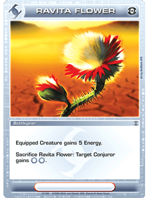 Ravita Flower - Common