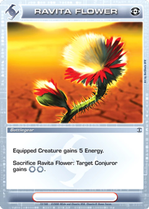 Ravita Flower - Common