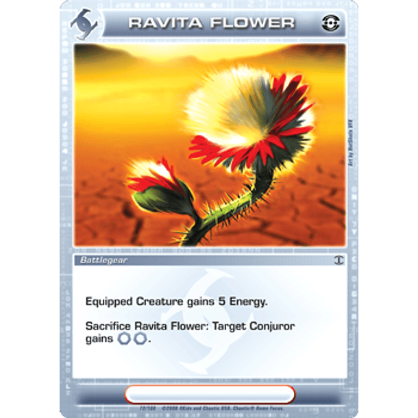 Ravita Flower - Common