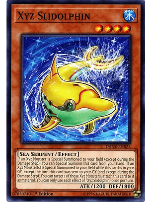 Xyz Slidolphin - DANE-EN023 - Common