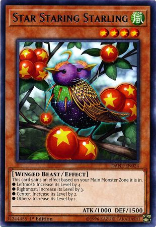 Star Staring Starling - DANE-EN024 - Rare  1