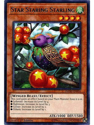 Star Staring Starling - DANE-EN024 - Rare 