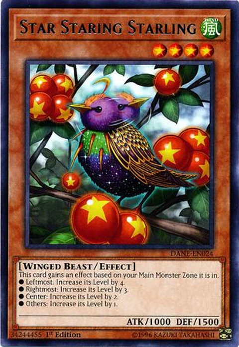 Star Staring Starling - DANE-EN024 - Rare 