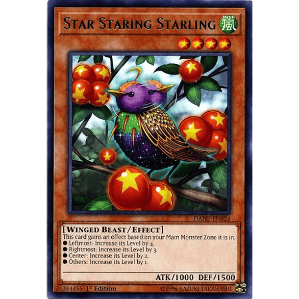 Star Staring Starling - DANE-EN024 - Rare 