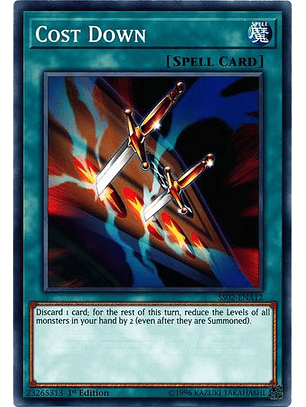 Cost Down - SS02-ENA12 - Common