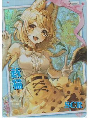 Serval - NS-12-05 - SCR