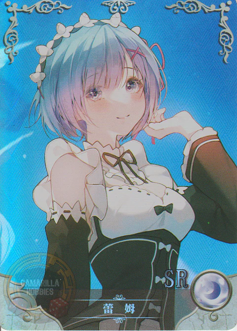 Rem - NS-12-02 - SR