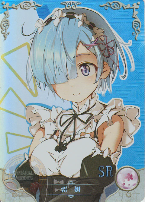 Rem - NS-11-35 - SR