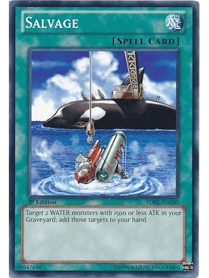 Salvage - SDRE-EN030 - Common