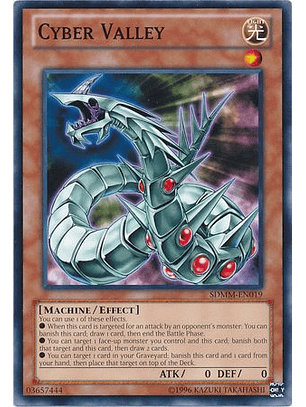 Cyber Valley - SDMM-EN019 - Common