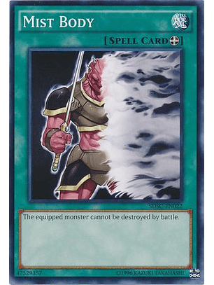 Mist Body - SDSC-EN022 - Common