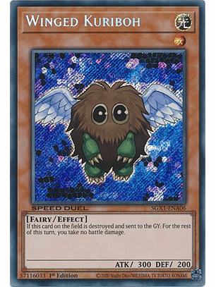 Winged Kuriboh - SGX1-ENA06 - Secret Rare 