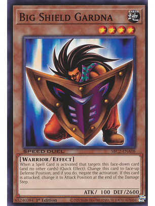 Big Shield Gardna - SBC2-ENA08 - Common 