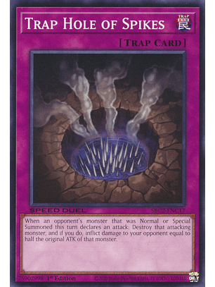 Trap Hole of Spikes - SBC2-ENC17 - Common 