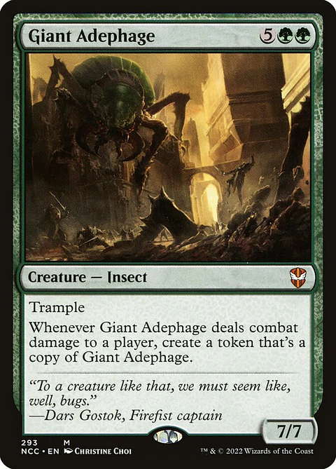 Giant Adephage - NCC - M