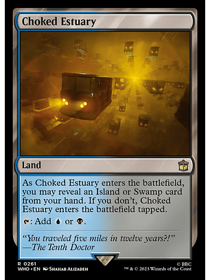 Choked Estuary - WHO - R 