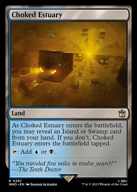 Choked Estuary - WHO - R 