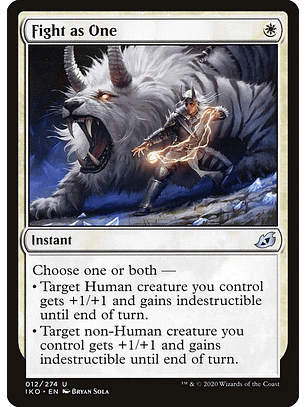 Fight as one - IKO - U