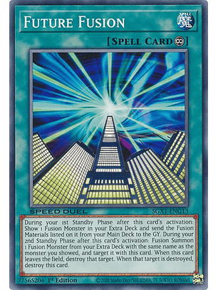 Future Fusion - SGX1-ENG13 - Common