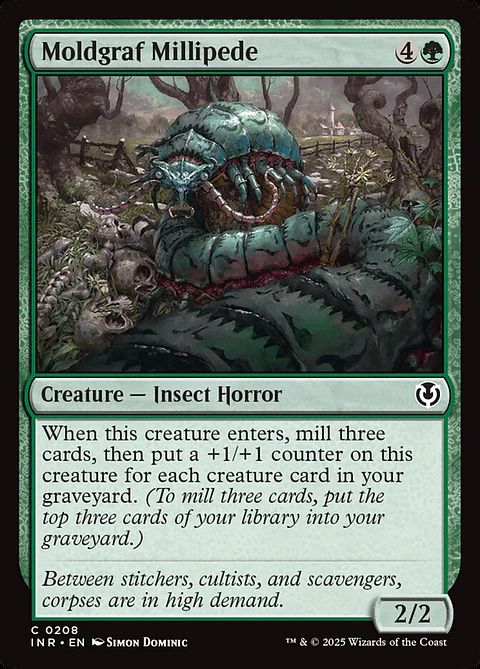 Moldgraf millipede - VOW - C