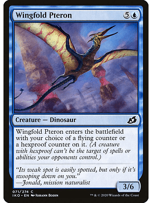 Wingfold pteron - IKO - C