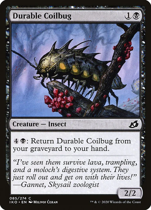 Durable coilbug - IKO - C