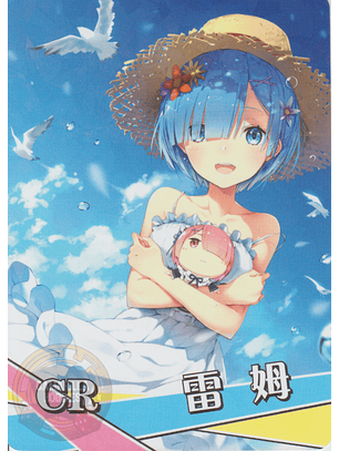 Rem - NS-2M13-02 - CR