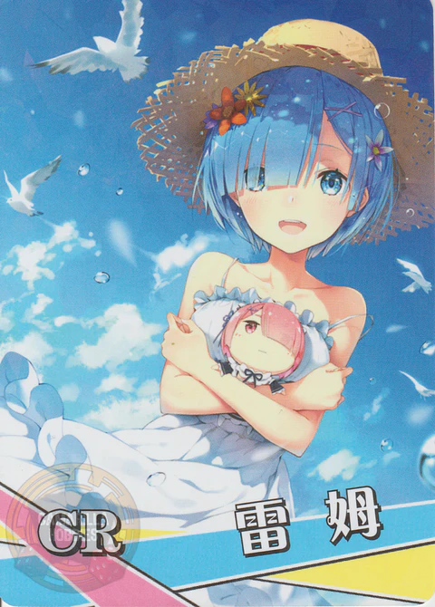 Rem - NS-2M13-02 - CR