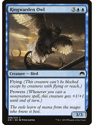 Ringwarden owl - ORI - C