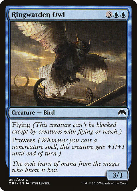 Ringwarden owl - ORI - C