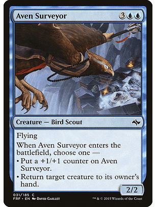  Aven  surveyor - FRF - C