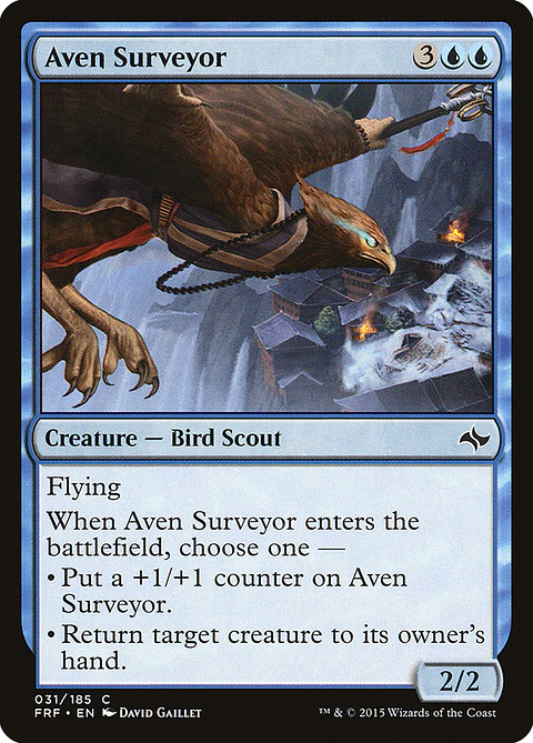  Aven  surveyor - FRF - C