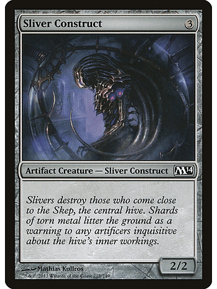 Sliver construct - M14 - C 