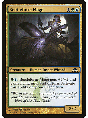 Beetleform mage - DGM - C