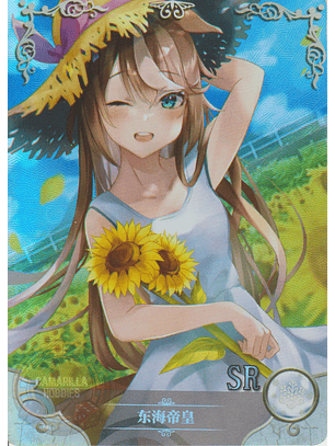 Tokai Teio - NS-5M09-05 - SR