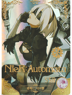 2B - NS-5M09-02 - SSR