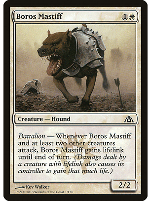 Boros mastiff - DGM - C