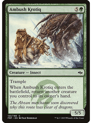 Ambush krotiq - FRF - C