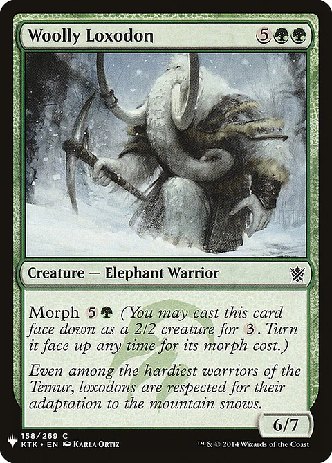 Woolly loxodon - KTK - C