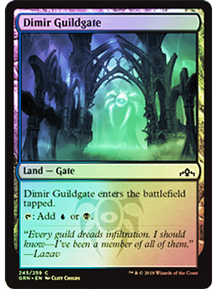 Dimir Guildgate - GRN - 245 - C ★