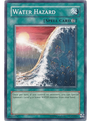 Water Hazard - ANPR-EN056 - Common