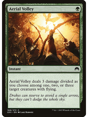 Aerial volley - ORI - C