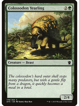 Colossodon yearling - DTK - C