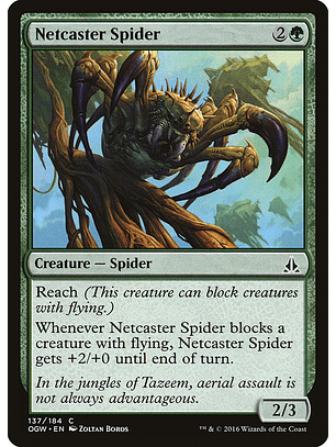 Netcaster spider - OGW - C