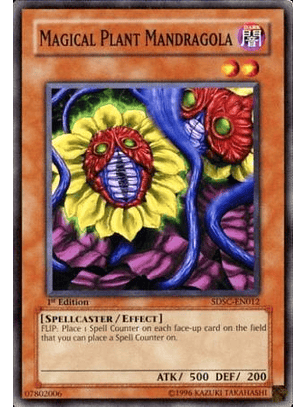 Magical Plant Mandragola - SDSC-EN012 - Common