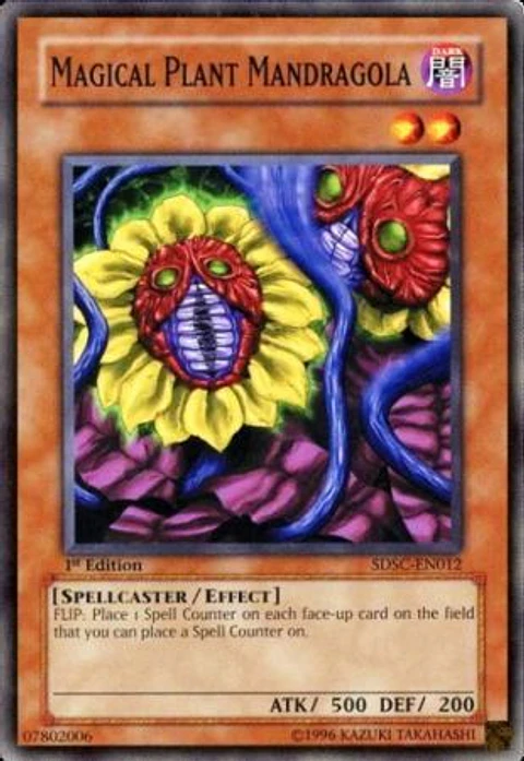 Magical Plant Mandragola - SDSC-EN012 - Common