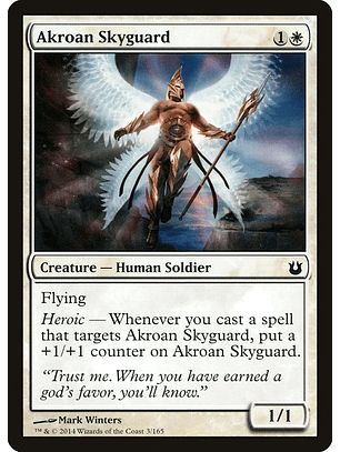 Akroan skyguard - BNG - C