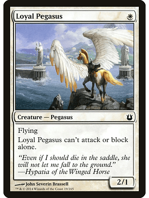 Loyal pegasus - BNG - C